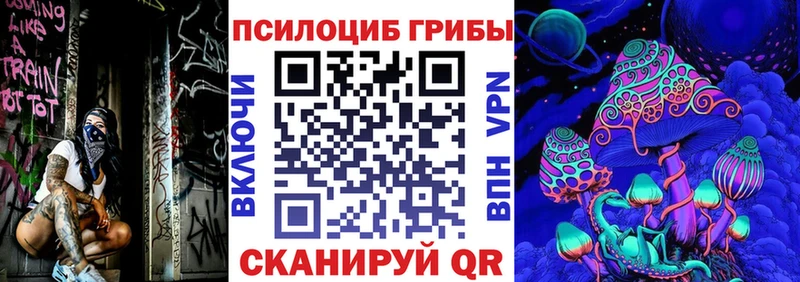 Псилоцибиновые грибы Psilocybine cubensis  Сальск 